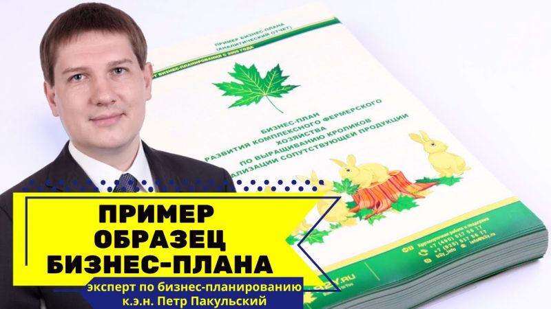 Как сделать переноску для грызунов своими руками